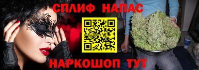 сатива Камышлов