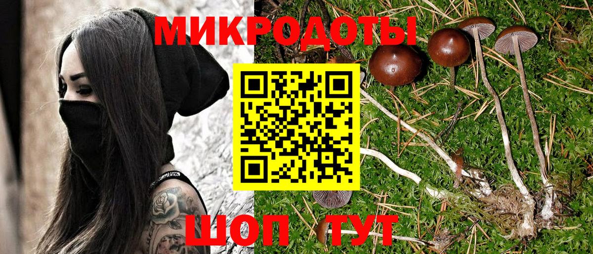 Галлюциногенные грибы Psilocybine cubensis Крымск