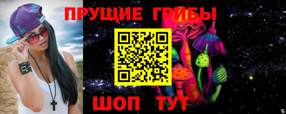 Псилоцибиновые грибы Cubensis  Псилоцибиновые грибы Cubensis  Вход с VPN  Крымск 